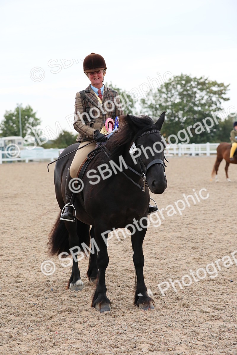 SBM_18254 - Class 316 Best Pony/Rider Combination
