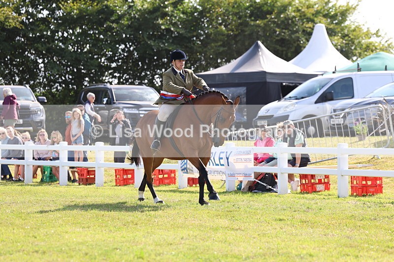 3E7A3997 - Supreme Championship