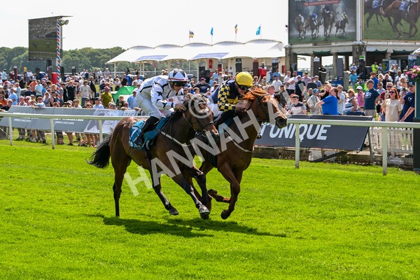 130625-Race 2-Carnation Queen-8649 - Race 2 2.25pm Coopers Marquees Rous Selling Stakes