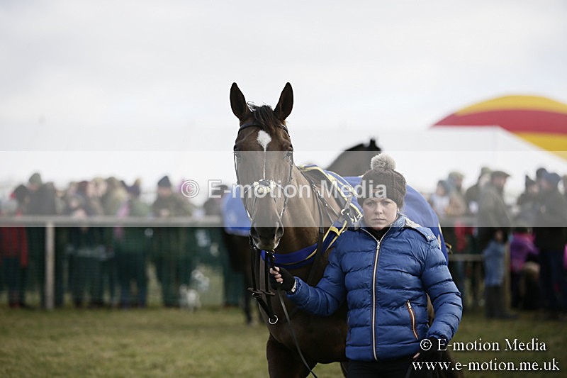 PtP 040218 64 - Point-to-Point Milborne St Andrew 04/02/18