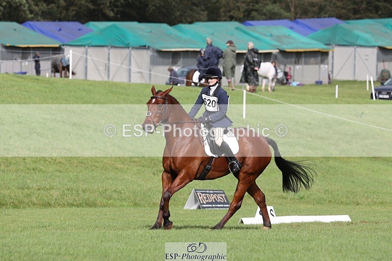 231019-121819-03589 - 620-PENOLVA.HIGH.HOPES-Elizabeth.Payne-DR