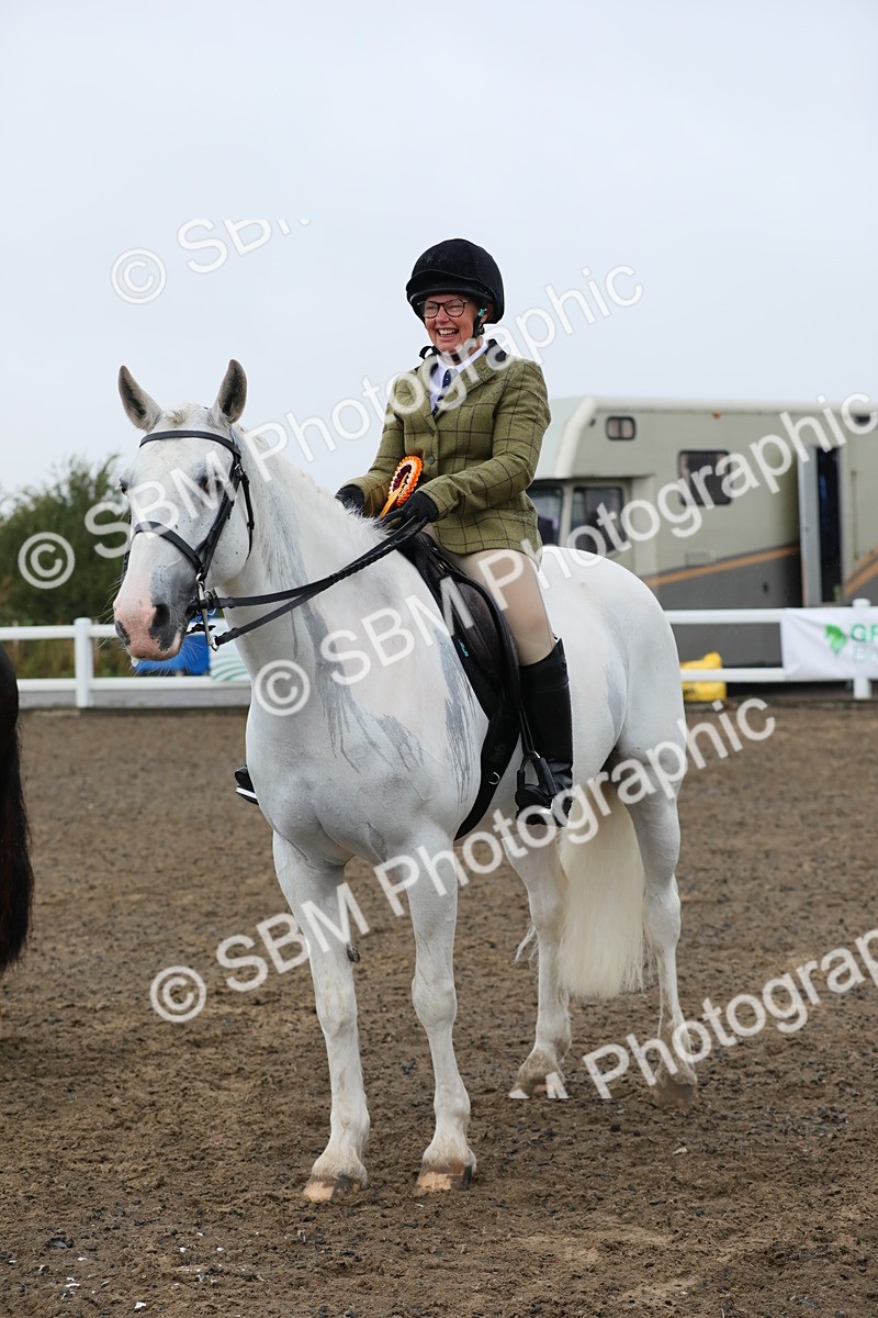 SBM_20392 - Class 803 - Ridden Combination 65+