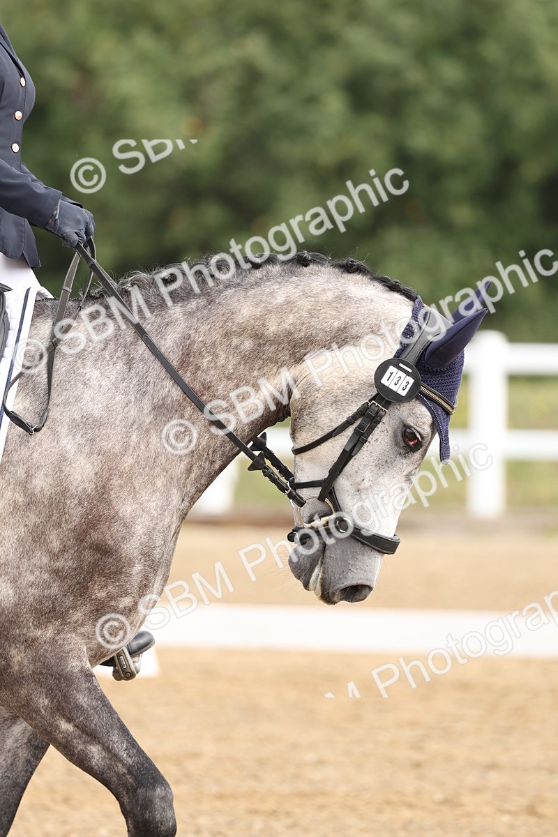 SBM_005527 - Class 6 - Novice 6 - 9.30-10.12