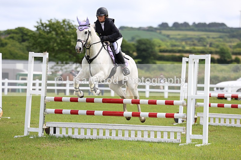 3E7A7431 - Class 13: Senior British Novice/90cm open