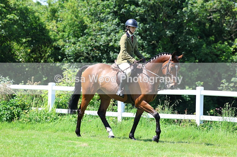 3E7A7161 - Class 30: Novice Working Hunter