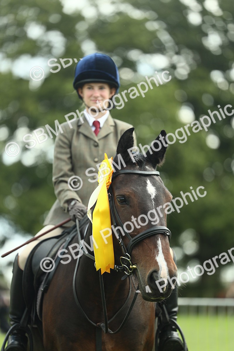 SBM_42241 - S29 - Novice & Newcomers Working Hunter Pony