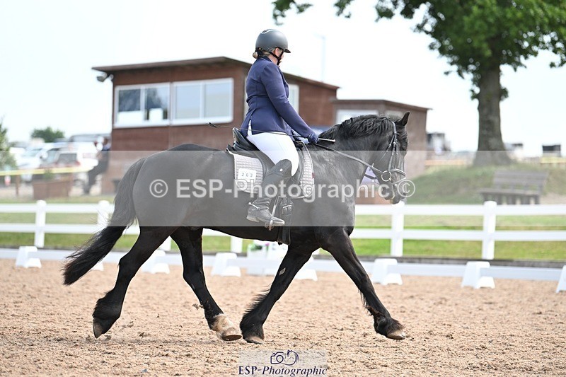 250620-103804-02646 - BD Cls 4 - Novice 5, Start to 11.30am