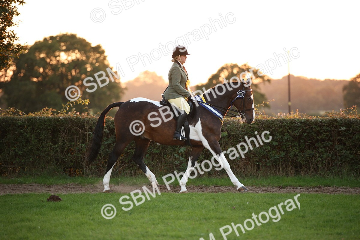 SBM_57091 - Super Supreme Championship