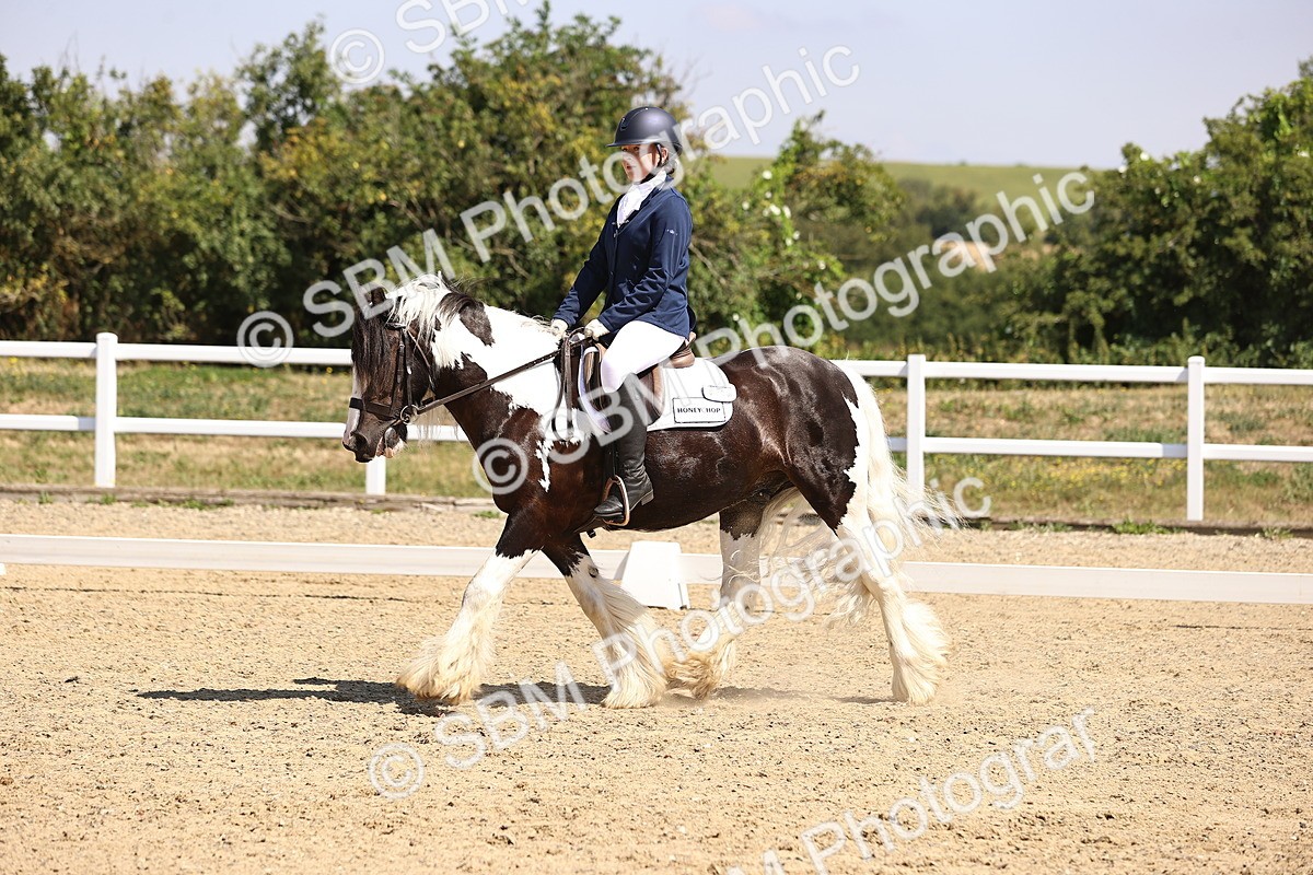 SBM_003751 - Intro 2