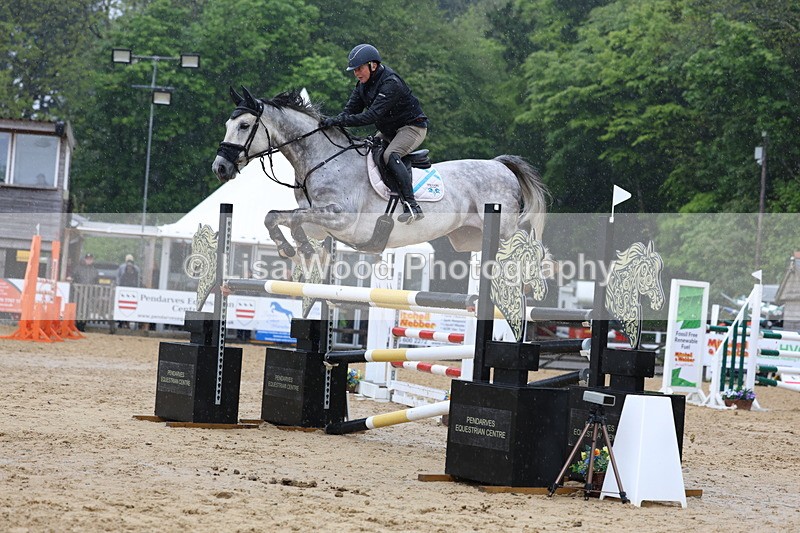 3E7A7406 - Class 8: Senior Foxhunter/1.20 open