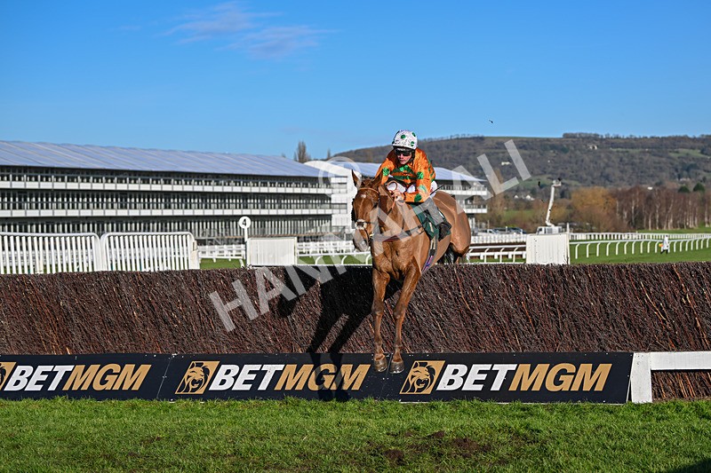 141224-Race 2-Livin On Luco-1521 - Race 2