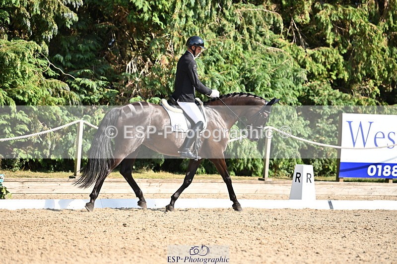 250808A-162003-01902 - 127-Joe.RoomeMonarchs.Way.Her.Grace