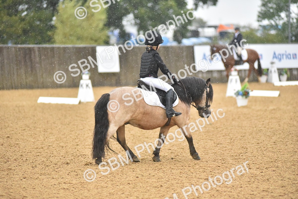 SBM_34826 - D26 & 27 Starter Test 1