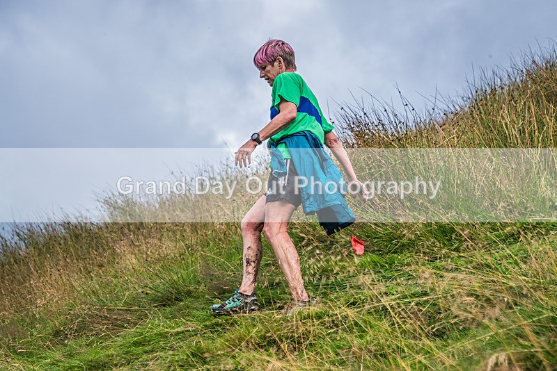 Steel Fell-702 - Steel Fell Race Wednesday 7th August 2024