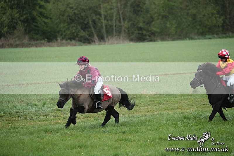 SHETPR 210425 116 - Shetland Ponies Paxford Races 21/04/25