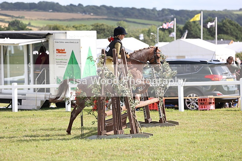 JPP_2838 - Class 20: Working Hunter 70cm