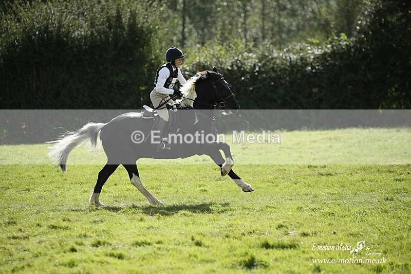  WWHT 031021 2156 - Novice Pairs (0.80m)  03/10/21