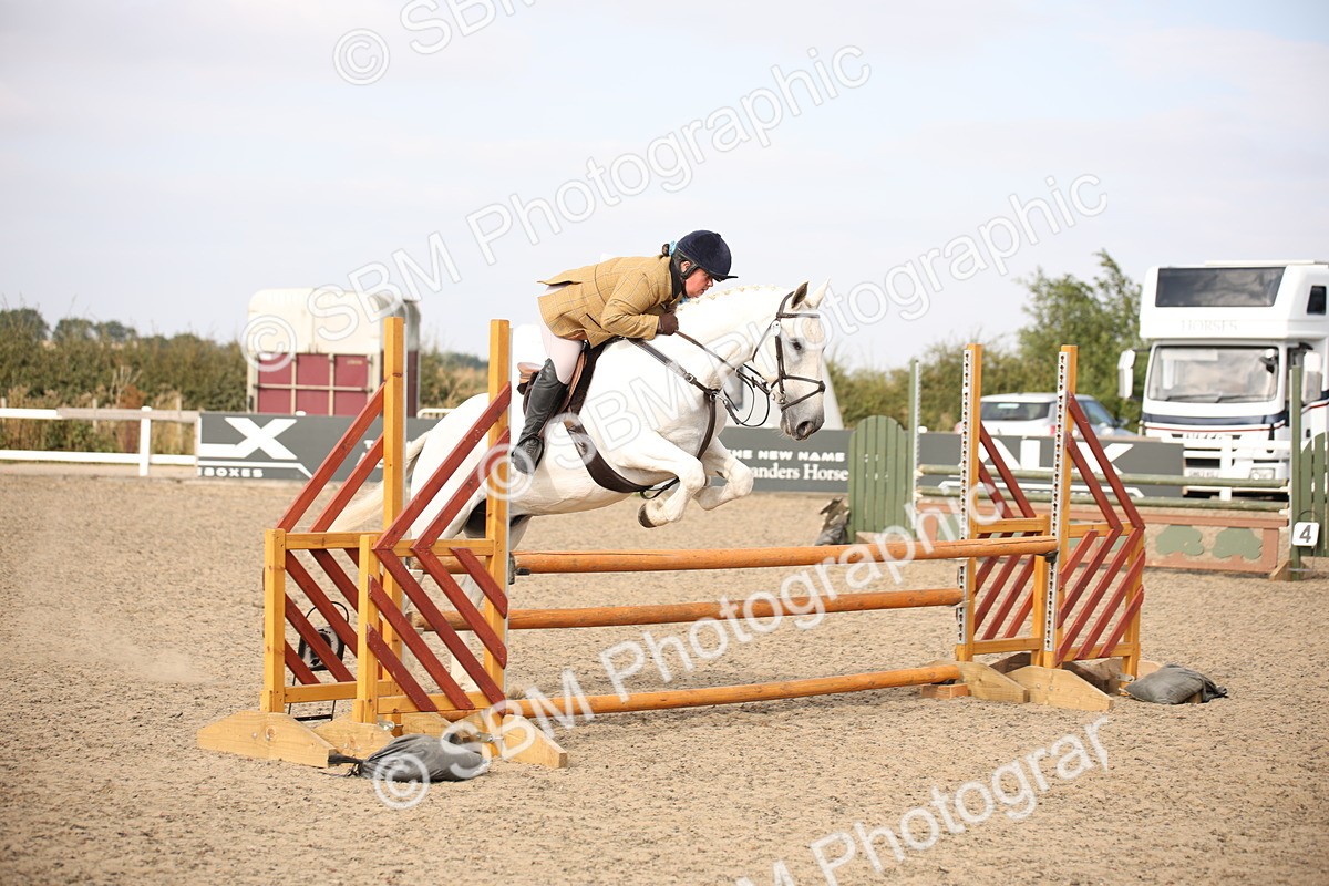 SBM_17275 - Class 410a - Wor5king Veteran 90cm (15-19)