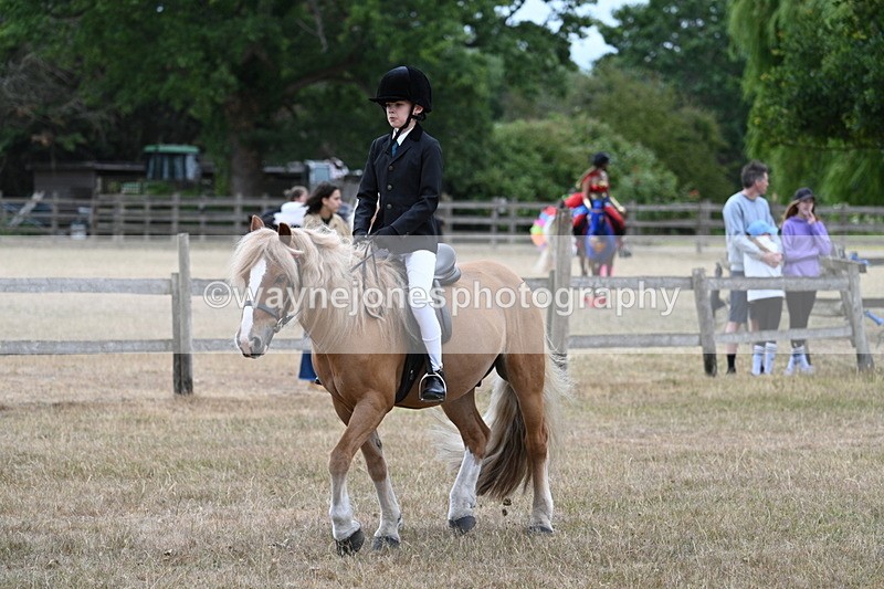 WJ7_7192 - Class 2 Best Rider