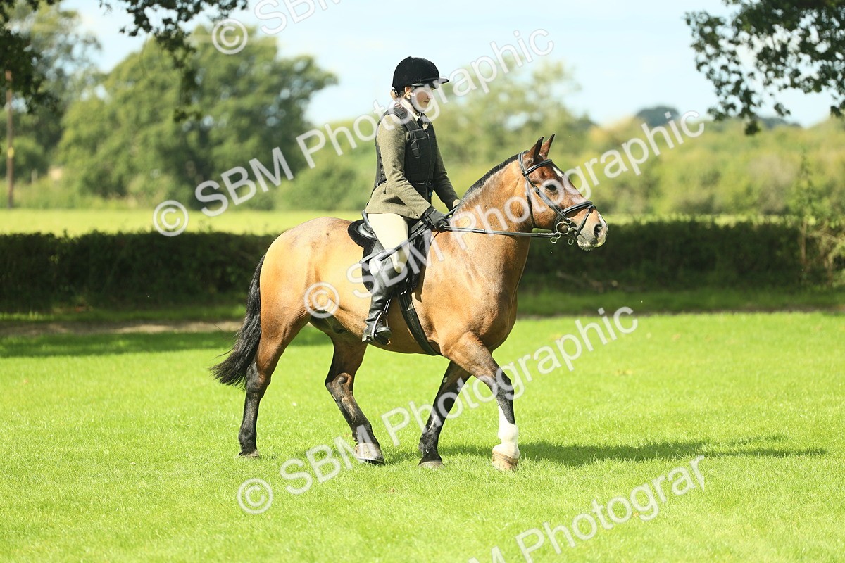 SBM_42089 - S29 - Novice & Newcomers Working Hunter Pony