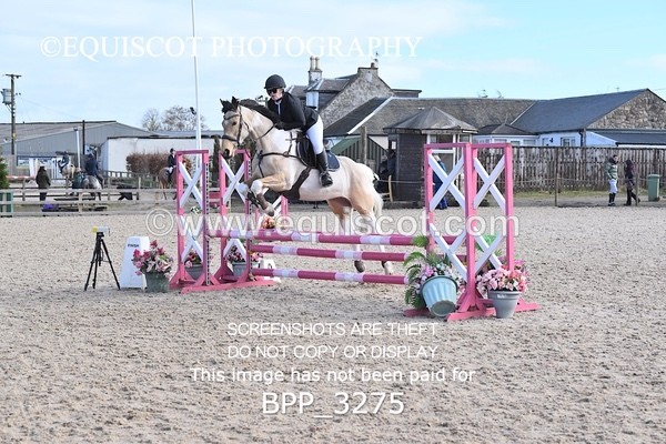 BPP_3275 - CLASS 2  Club/ Unaffiliated 80cms Open