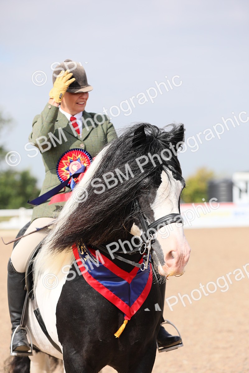 SBM_12848 - Class 307 Ridden Coloured Pony