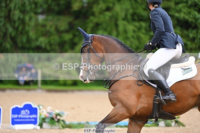 240526-155224-25145 - 214-DSH_GOLDEN_EYE-Lucinda_Mesquita