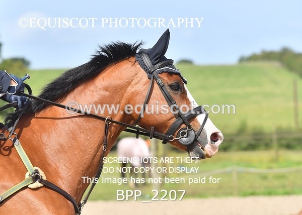 BPP_2207 - CLASS 15 SUN Senior Discovery/ 1m Open