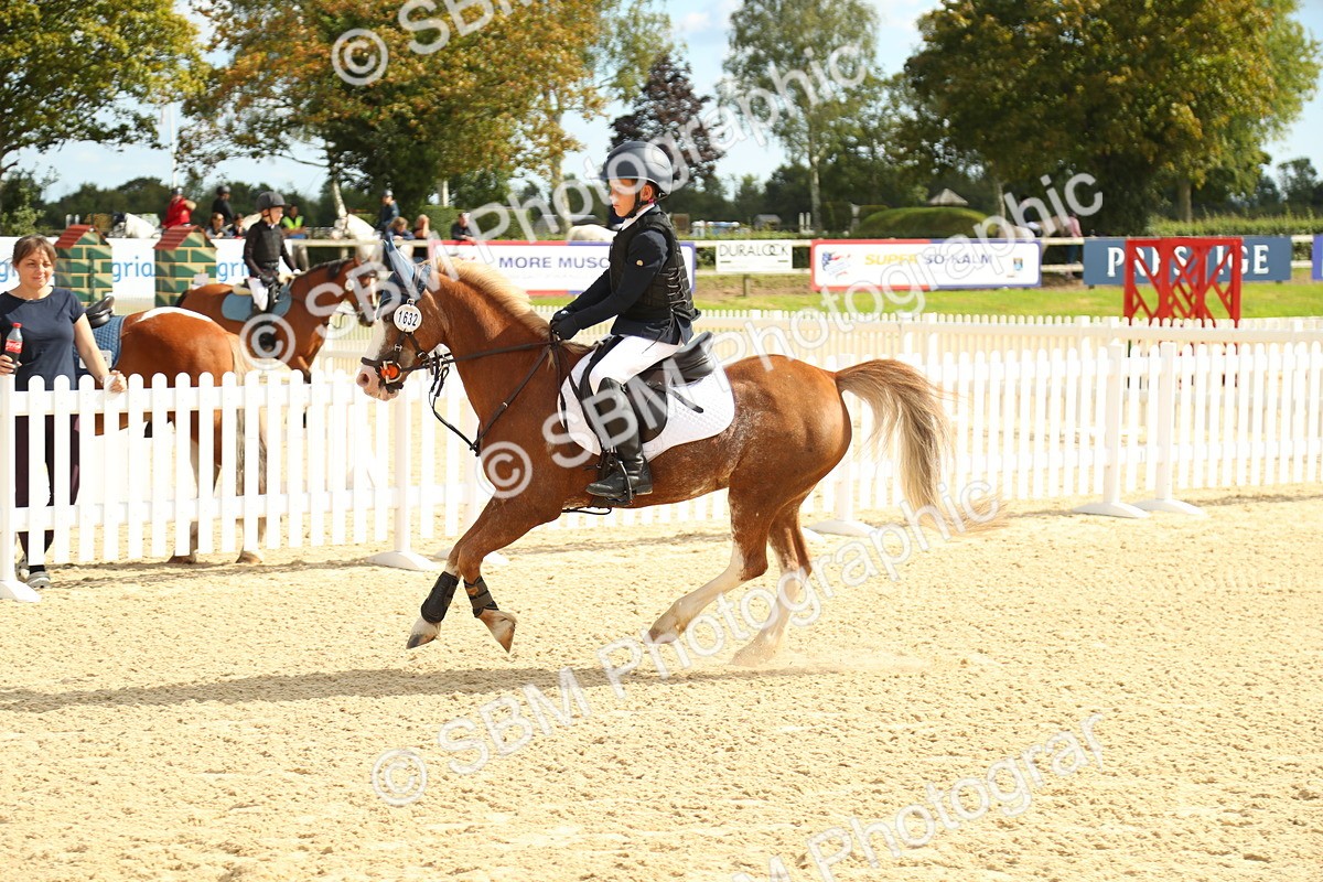SBM_46300 - Supreme Championship - AM