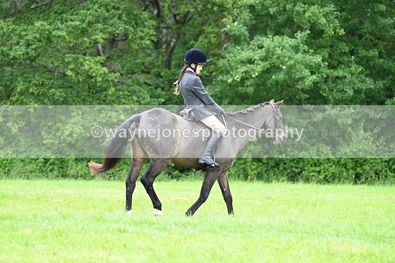 WJ7_4484 - Class 14B Prettiest Mare