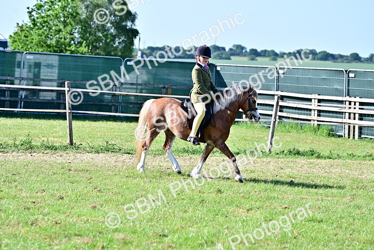 SBM_19854 - Class 103 - 105 - TSR Ridden Amateur of the Year Plaited Ponies