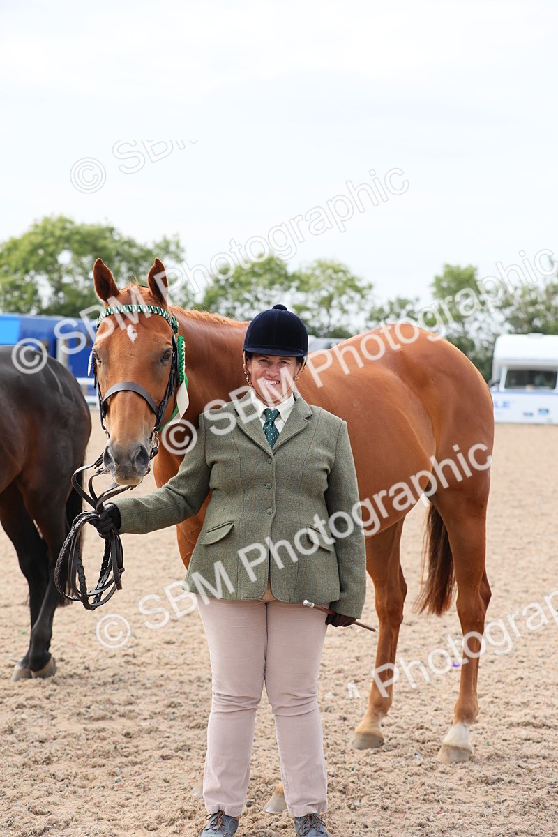 SBM_15977 - Class 313 IH Retired Racehorse