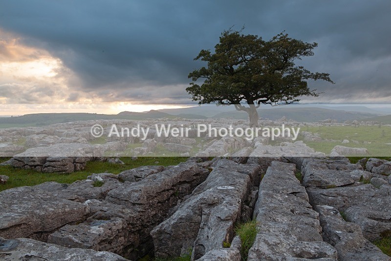 20120630-_MG_9110 - England