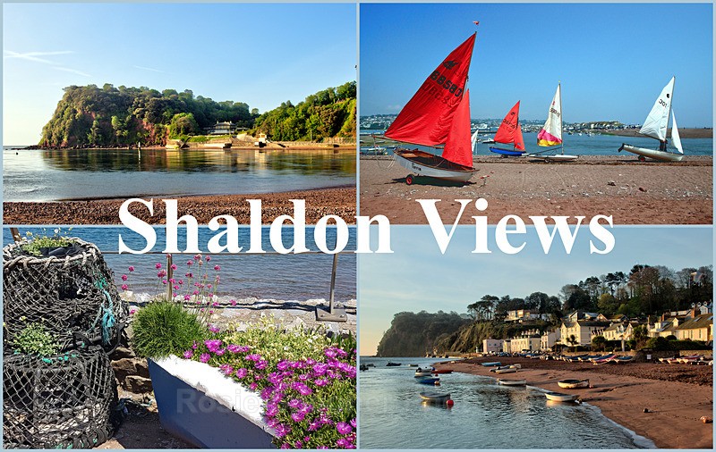 NEW Shaldon Views - FRIDGE MAGNETS