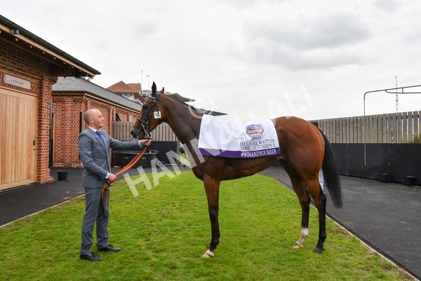 yr20082021r4-61 - Race 4 3.35pm Coolmore Wootton Bassett Nunthorpe Stakes (British Champions Series Race)