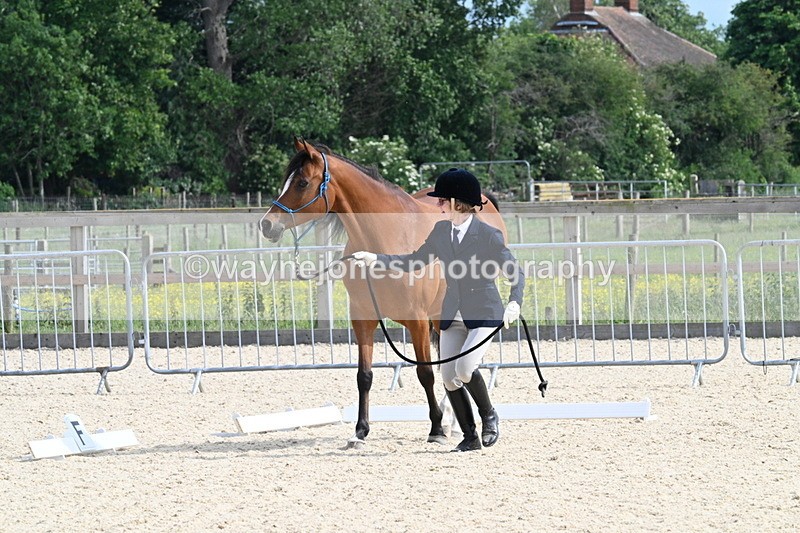 WJ7_8233 - Time 16:10 to 16:25