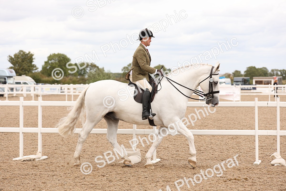 SBM_17192 - Class 213 - Ridden Hunter - Large