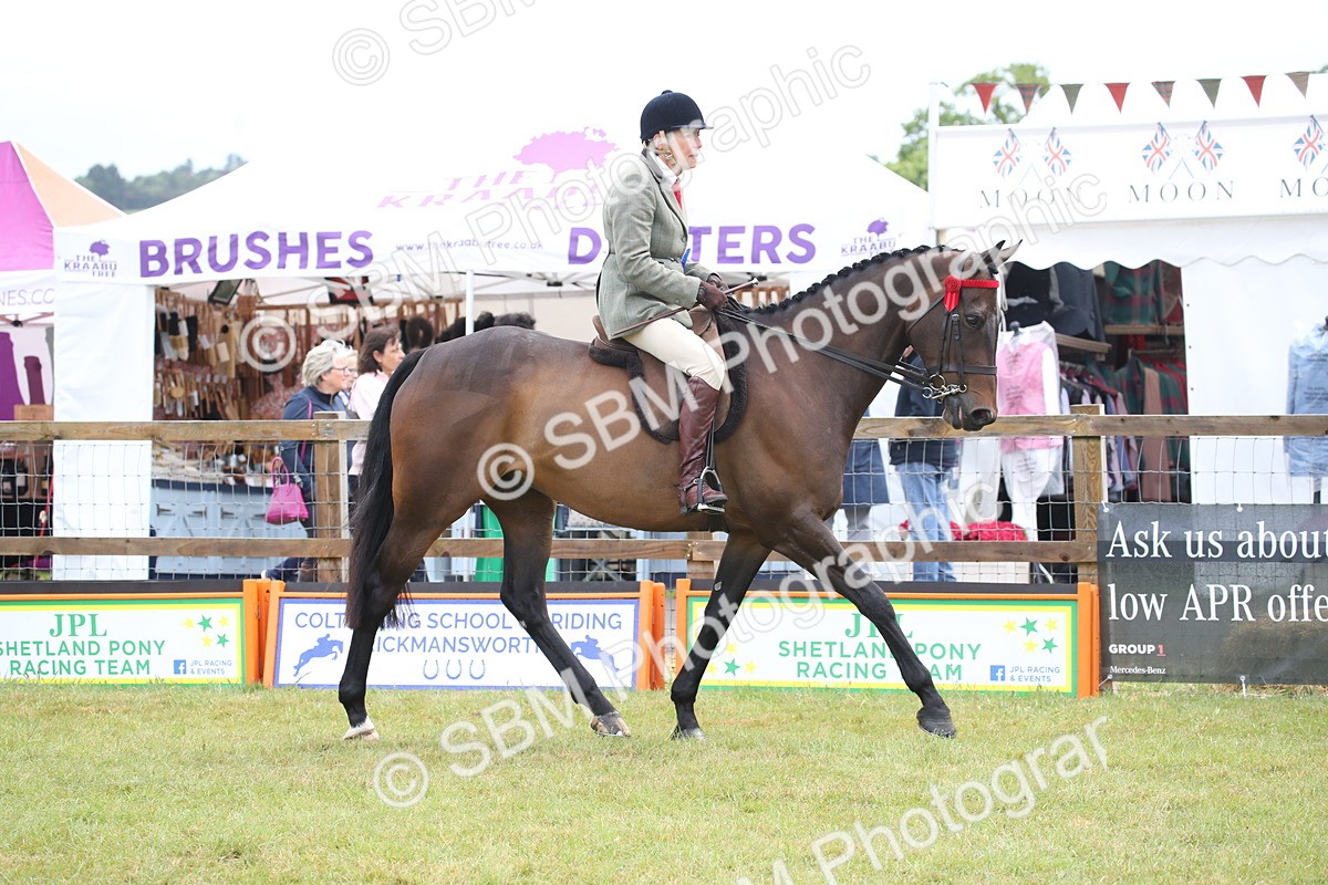 SBM_11481 - Class 94 - LIHS BSHA Racehorse to Showhorse