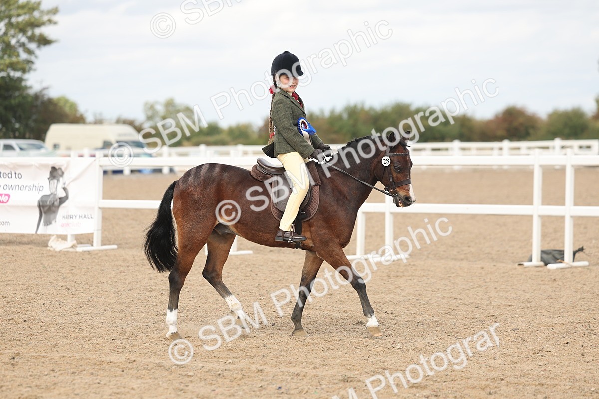 SBM_15945 - Class 310 - First Ridden Pony