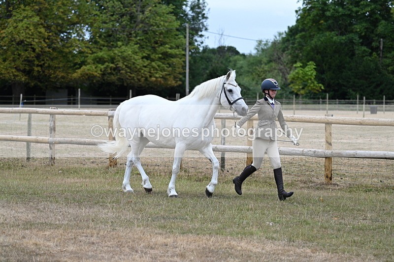 WJ7_8742 - Class 4a Prettiest Mare 14.2hh and over
