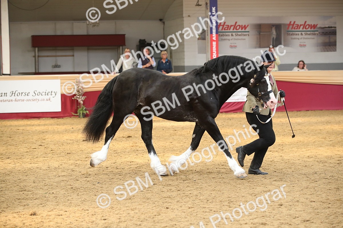SBM_05362 - Class 8R - Regional IH Veteran