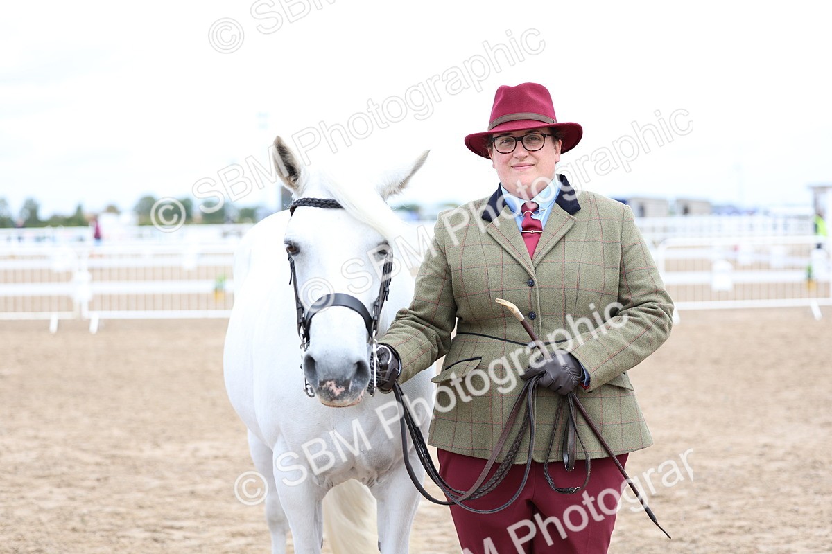 SBM_01484 - Class 17 - Prettiest Mare