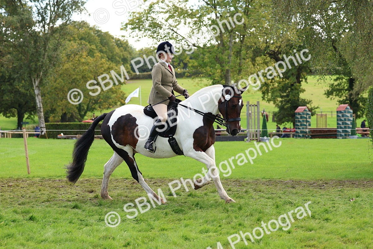 SBM_45208 - S27 - Young Veteran Ridden