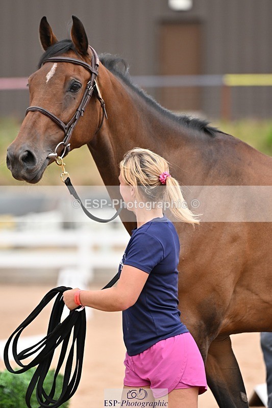250716-154741-02197 - Trot Up 3.30 to 4.30
