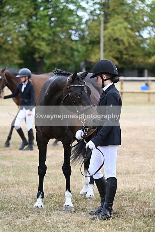 WJ7_9191 - Class 4a Prettiest Mare 14.2hh and over