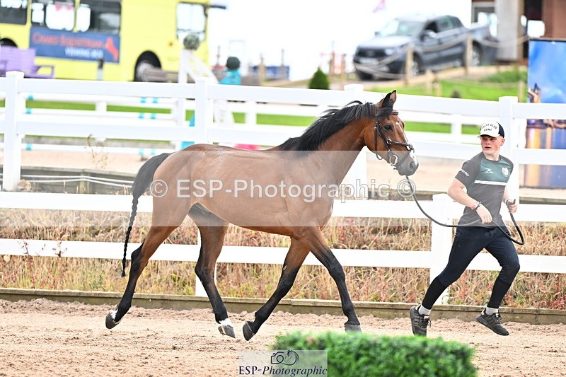 240718A-105326-02005 - Trot Up 2pm to 3pm - This folder is not in time order