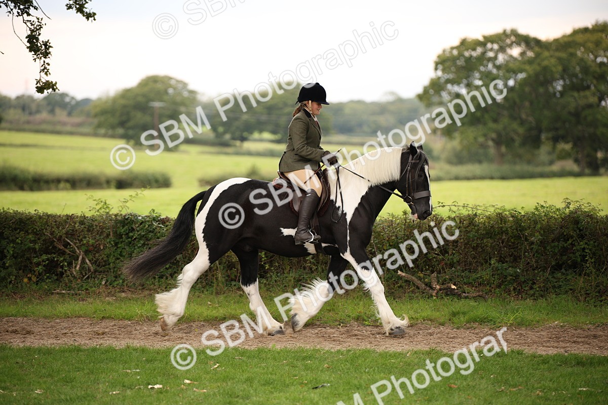 SBM_73420 - S68 - Traditional Cob Ridden