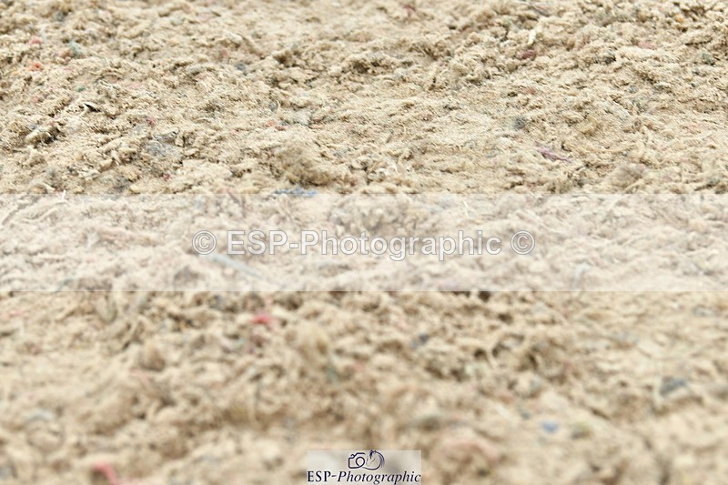 230804A-115254-02399 - Showjumping Competition