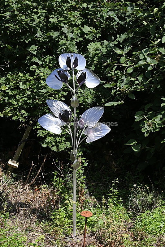  - Elemental Sculpture Park
