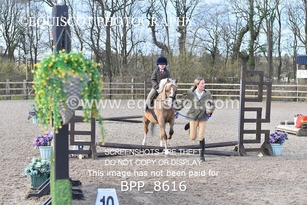 BPP_8616 - TRAINING STAKES